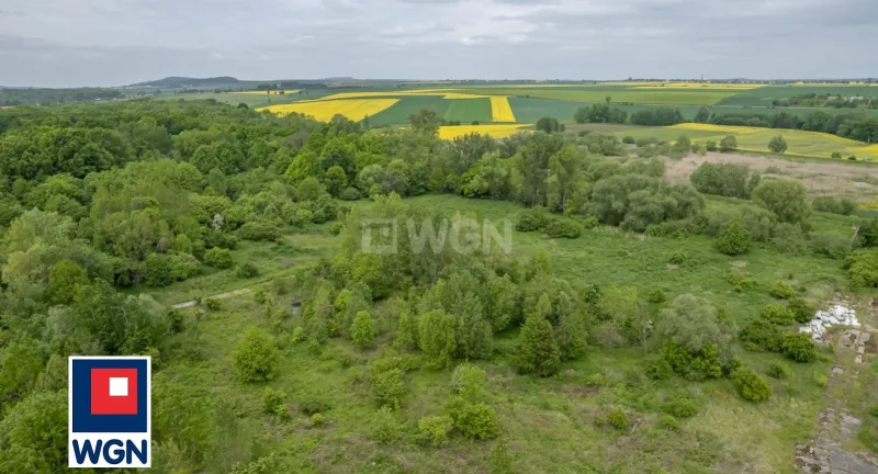 Działka na wynajem Pastuchów